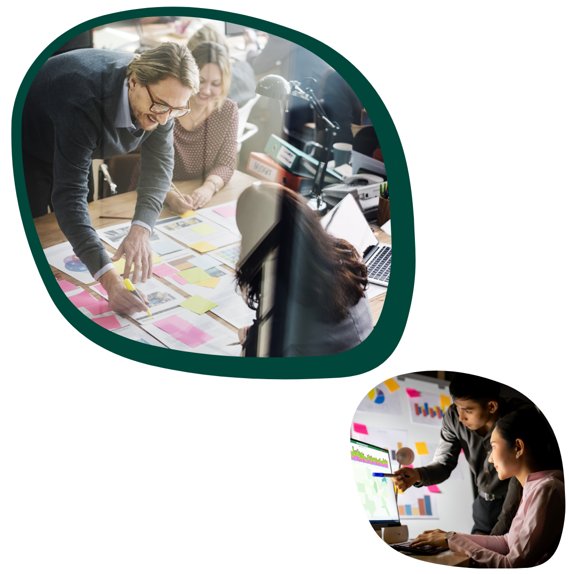 Software Integration People